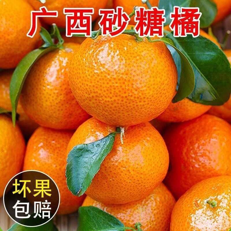 广西砂糖橘武鸣沙糖桔货源直采货源稳定代收代发代加工