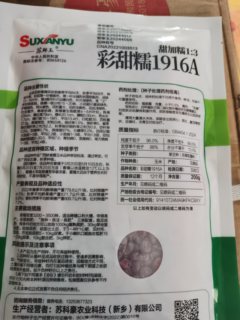 国审苏玉糯702加甜大棒甜糯玉米国审玉20200504