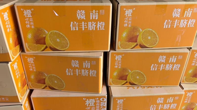 赣南脐橙十斤装一手货源全国发货规格齐全欢迎老板联系