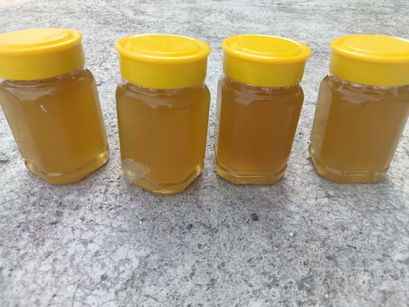 土蜂蜜