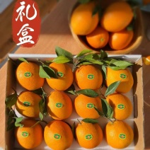 礼盒装赣南脐橙十斤装品质保证欢迎老板联系