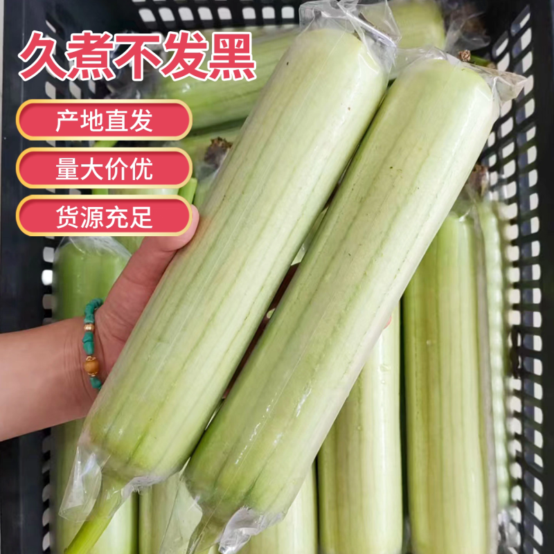 广东湛江丝瓜白玉丝瓜