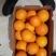 赣南脐橙橙子🍊产地直销量大从优可视频看货对接全国客商