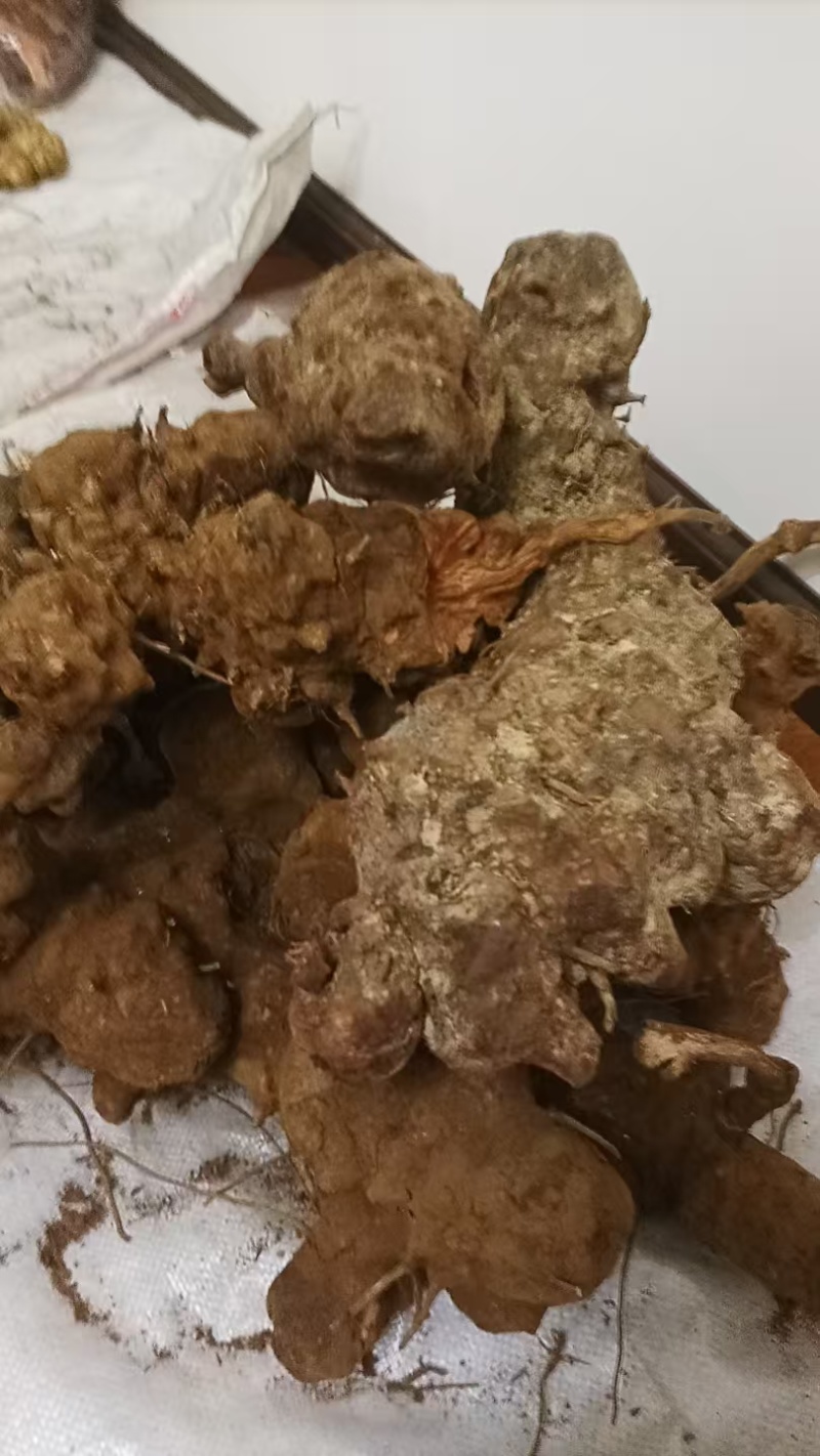 云南野生土茯苓，鲜货红肉块茎基地直供量大从优