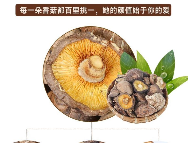 随州干香菇通货，精选规格都可以