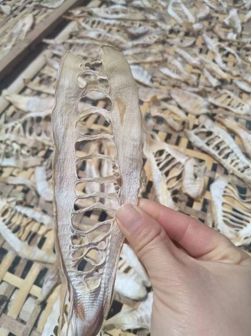 笋干