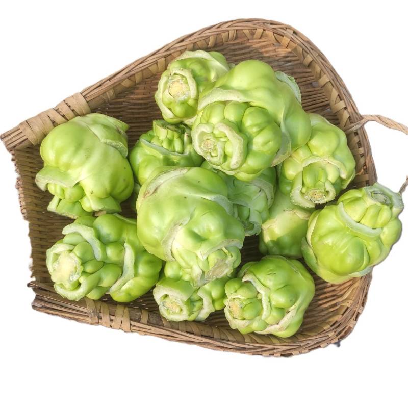 湖南精品炸菜头，腌盐菜炸菜头，商超，电商量大从优基地直发