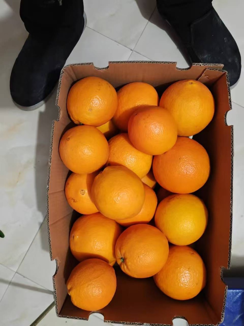 赣南脐橙橙子🍊产地直销量大从优可视频看货对接全国电商