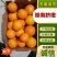 赣南脐橙橙子🍊产地直销量大从优可视频看货对接全国电商