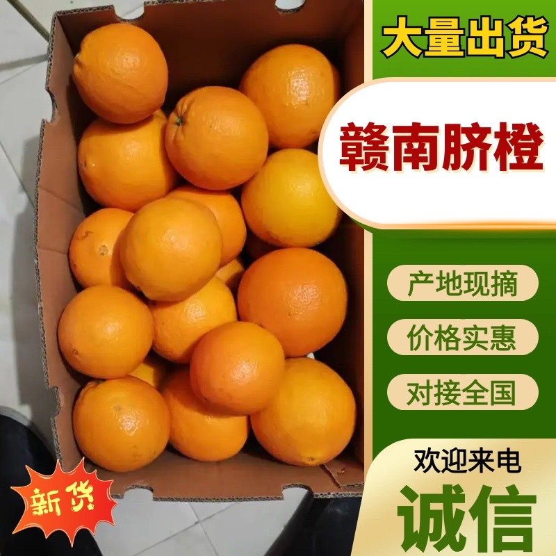 赣南脐橙橙子🍊产地直销量大从优可视频看货对接全国电商