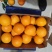 赣南脐橙橙子🍊产地直销量大从优可视频看货对接全国电商