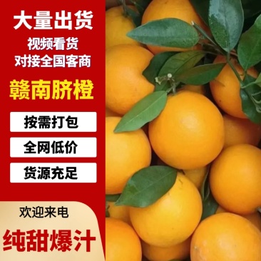 赣南脐橙橙子🍊产地直销量大从优可视频看货对接全国电商