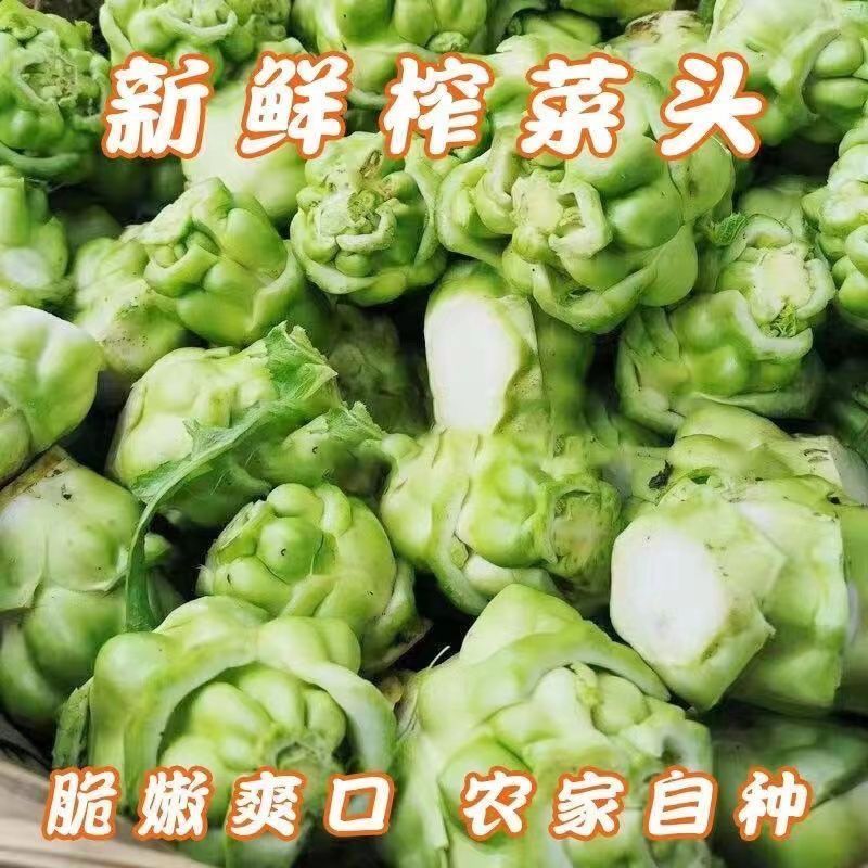 湖南精品炸菜头，腌盐菜炸菜头，商超，电商量大从优基地直发