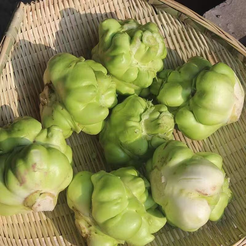 湖南精品炸菜头，腌盐菜炸菜头，商超，电商量大从优基地直发