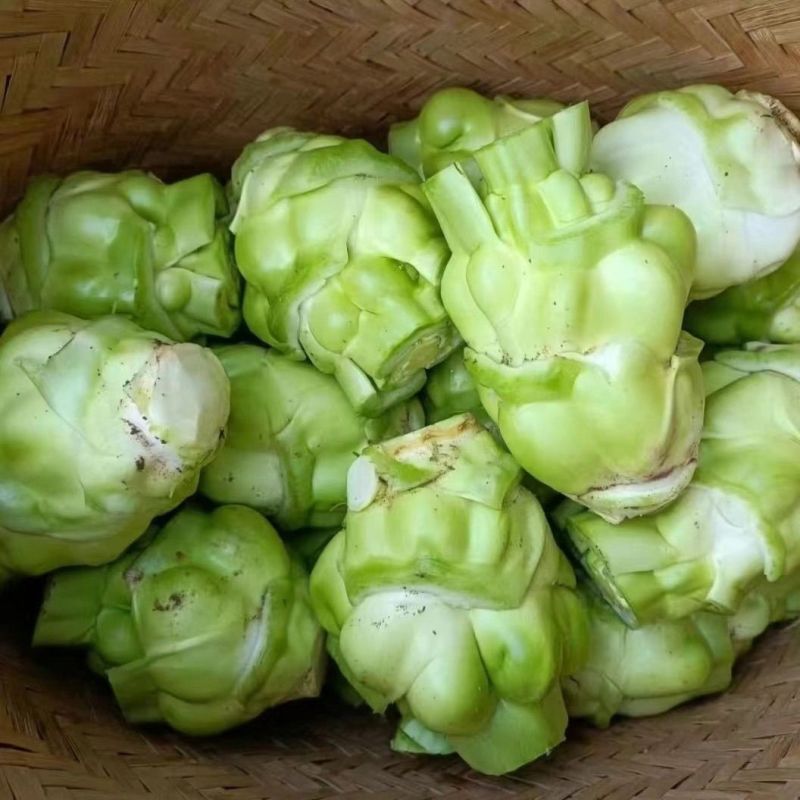 湖南精品炸菜头，腌盐菜炸菜头，商超，电商量大从优基地直发