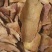 正宗野生茯苓干片精品土茯苓红肉干片欢迎联系