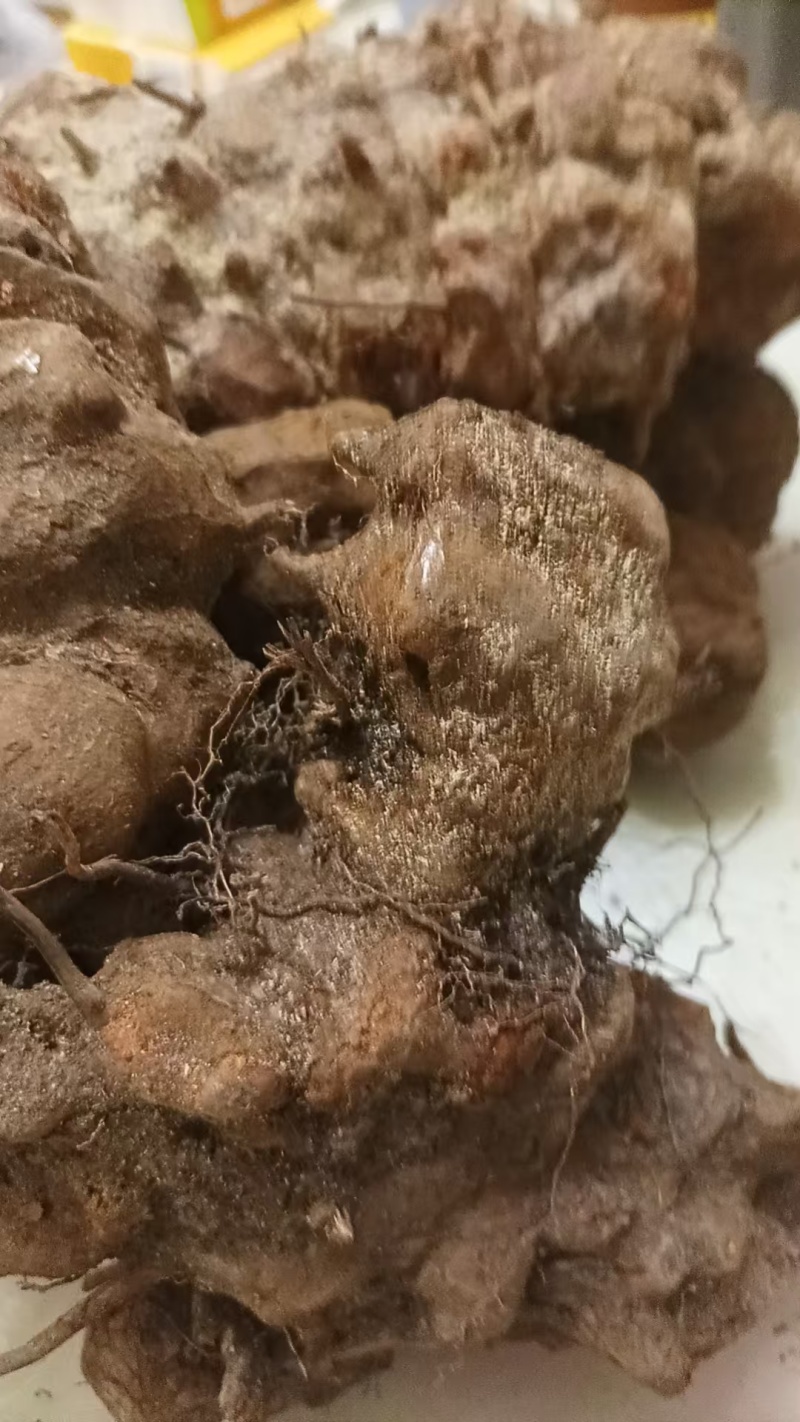 正宗野生茯苓干片精品土茯苓红肉干片欢迎联系