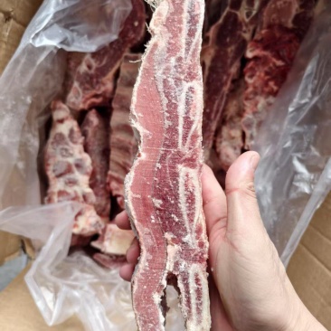 y国产牛肋排