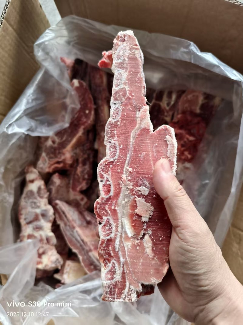 y国产牛肋排
