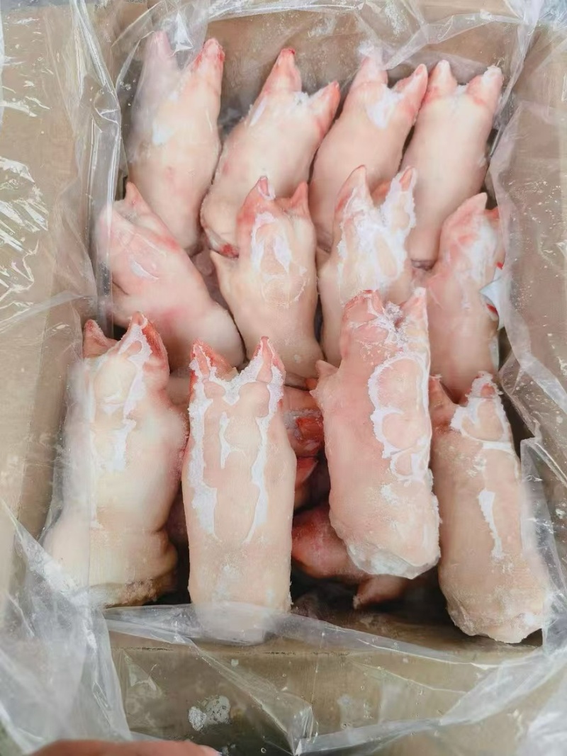 带筋前蹄