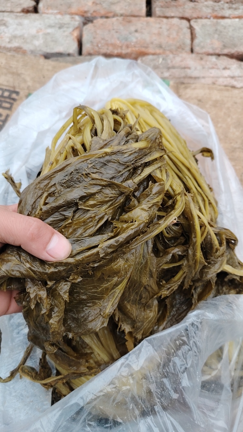 精品雪菜
