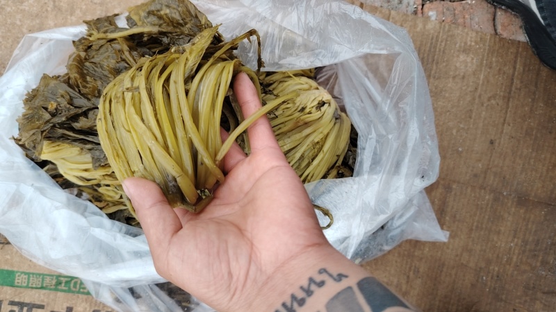 精品雪菜