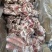多肉羊蝎子195元20斤