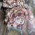 多肉羊蝎子195元20斤