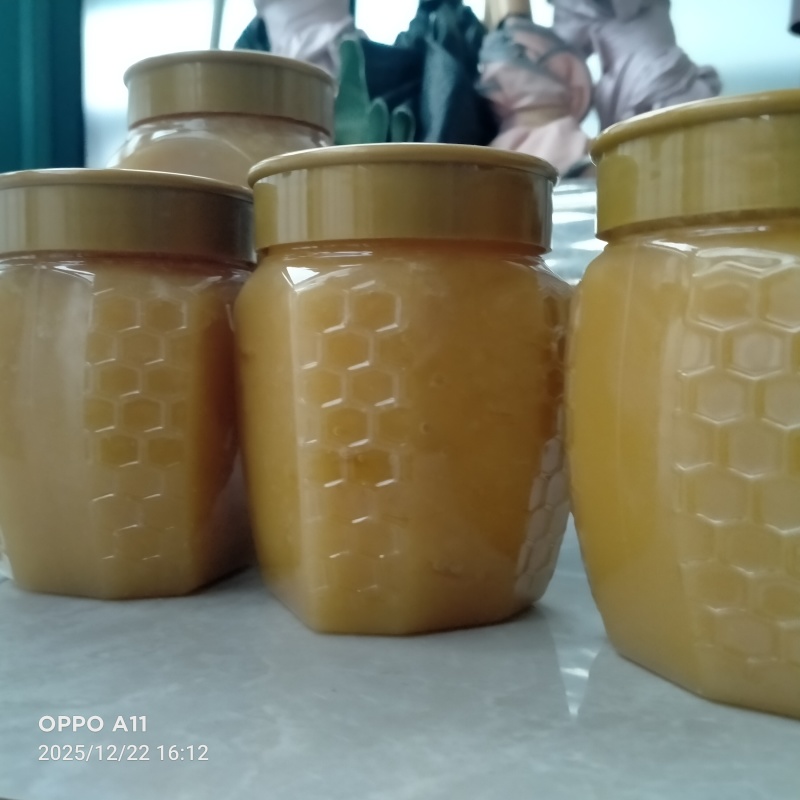 正宗土蜂蜜湖北宜昌农家自产高品质超便宜不掺假