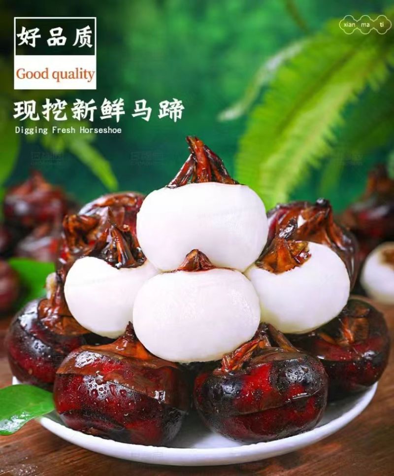 广西贺州芳林马蹄、荸荠、地理标识产品（中果、大果、特大果