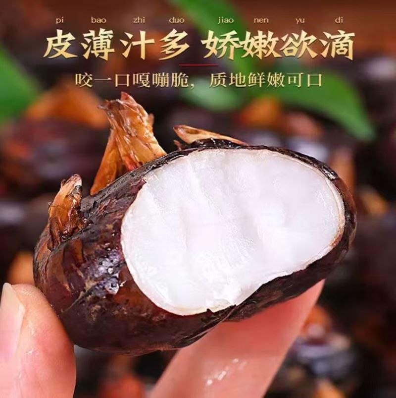 广西贺州芳林马蹄、荸荠、地理标识产品（中果、大果、特大果