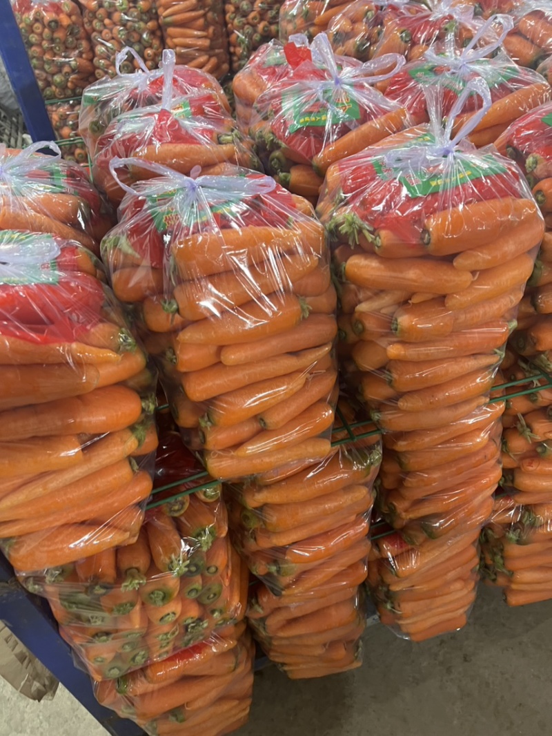 胡萝卜市场，三红胡萝卜超市，加工，酱菜，养殖，大量发全国
