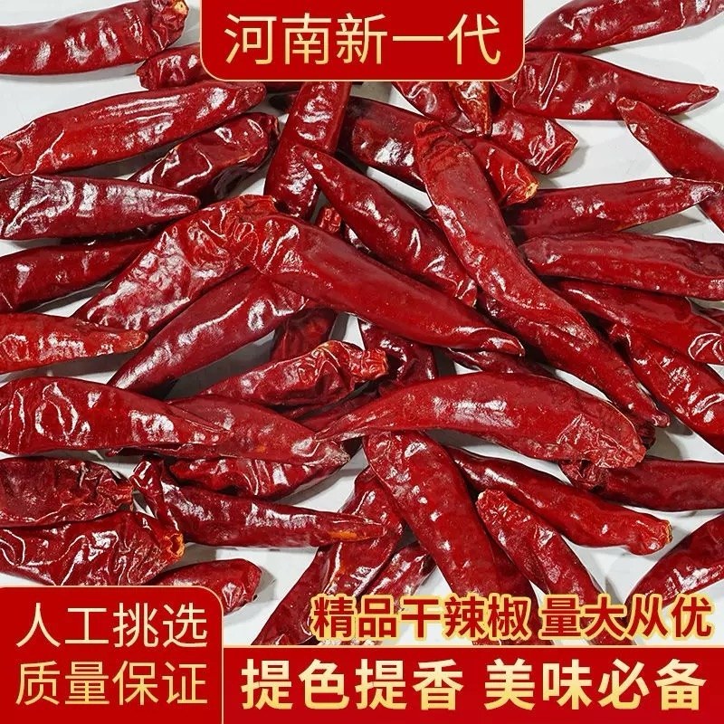 三樱椒，河南干辣椒，产地直供干度好无花皮质量保证全国供应
