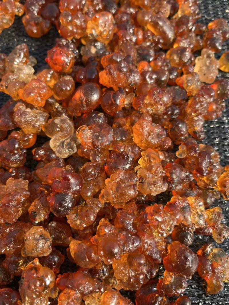 桃胶原产地专注桃胶.爆米花.圆珠.精修桃胶.带贴牌OEM