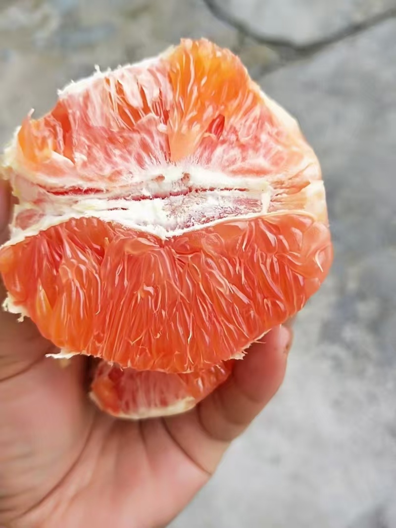 卡拉红肉血脐橙湖北宜昌脐橙血橙基地直发价格实惠欢迎老板联系