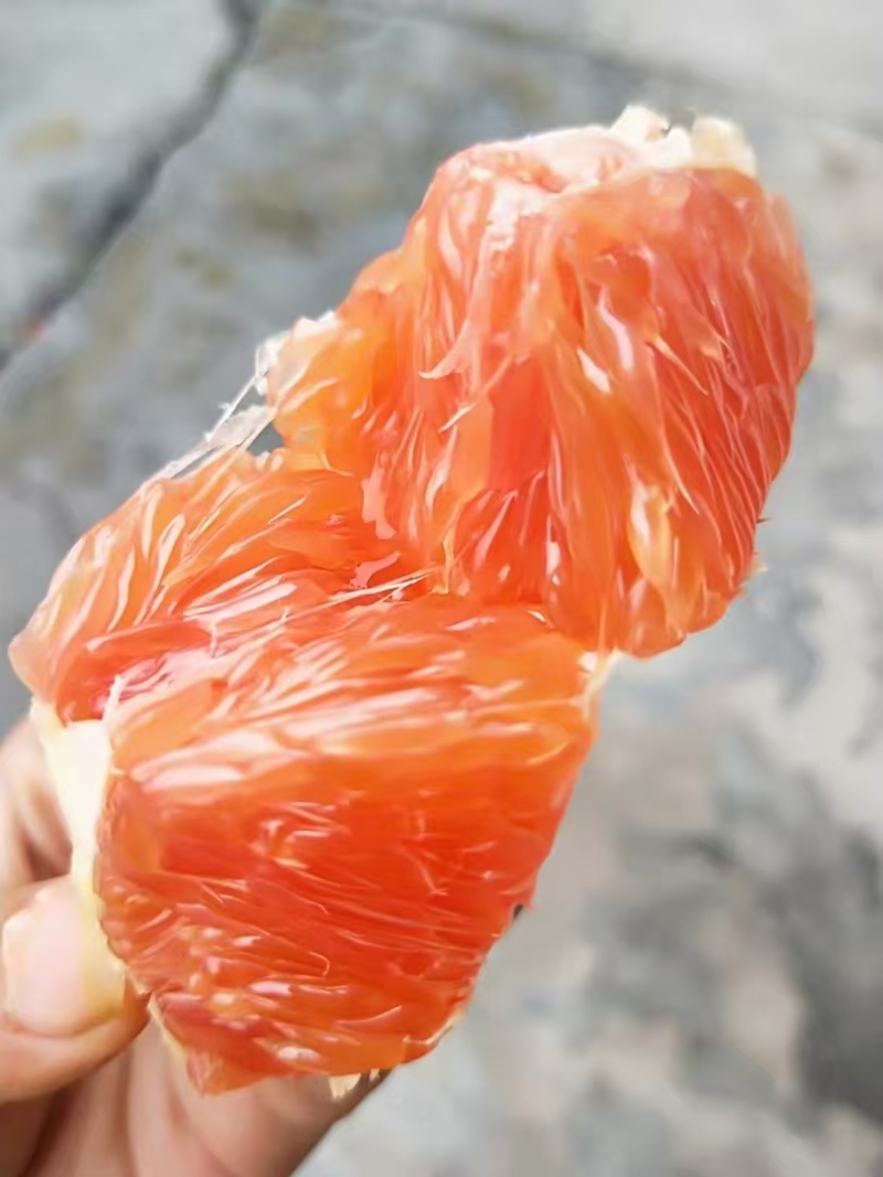 卡拉红肉血脐橙湖北宜昌脐橙血橙基地直发价格实惠欢迎老板联系
