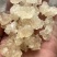 雪燕，拉丝雪燕，一手货源，各规格齐全，批发零售