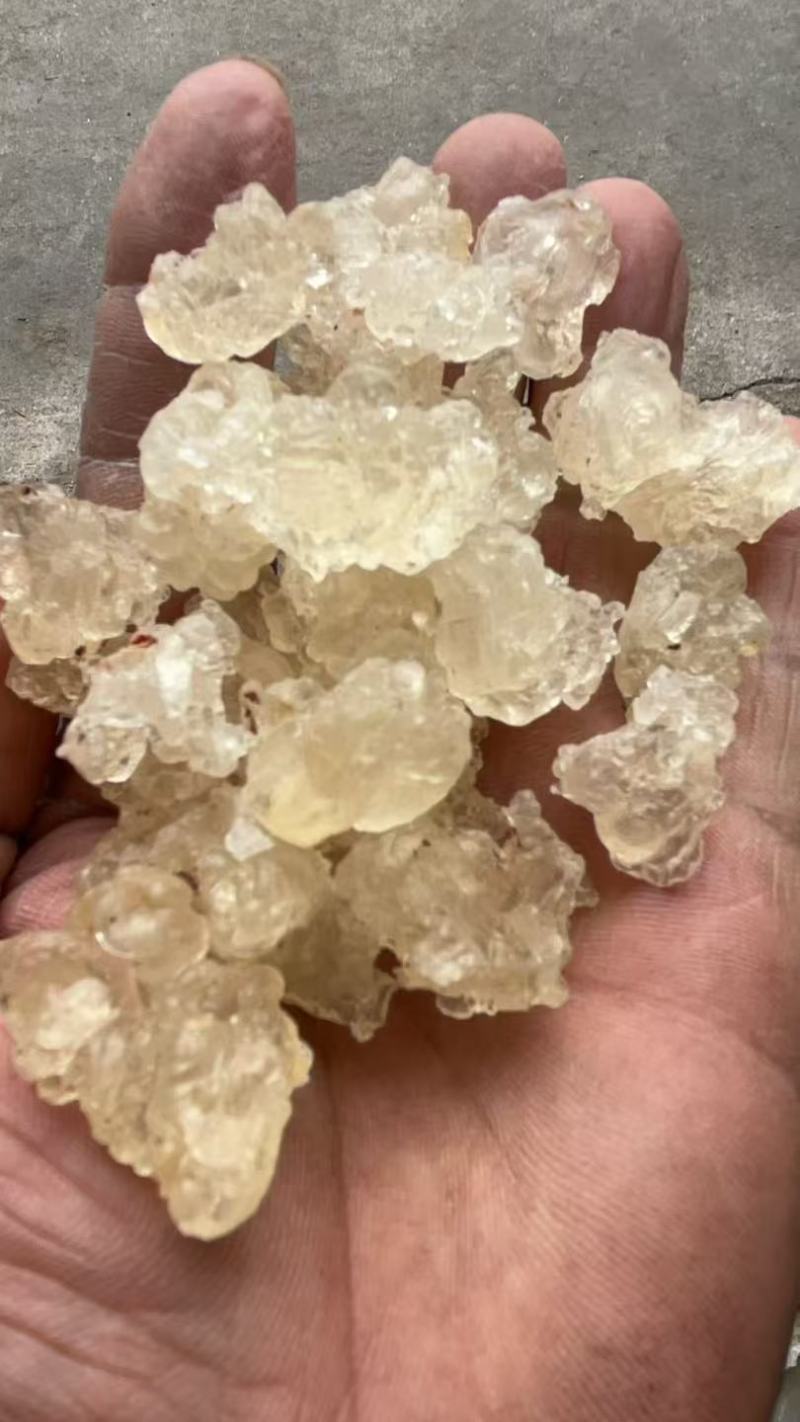 雪燕，拉丝雪燕，一手货源，各规格齐全，批发零售