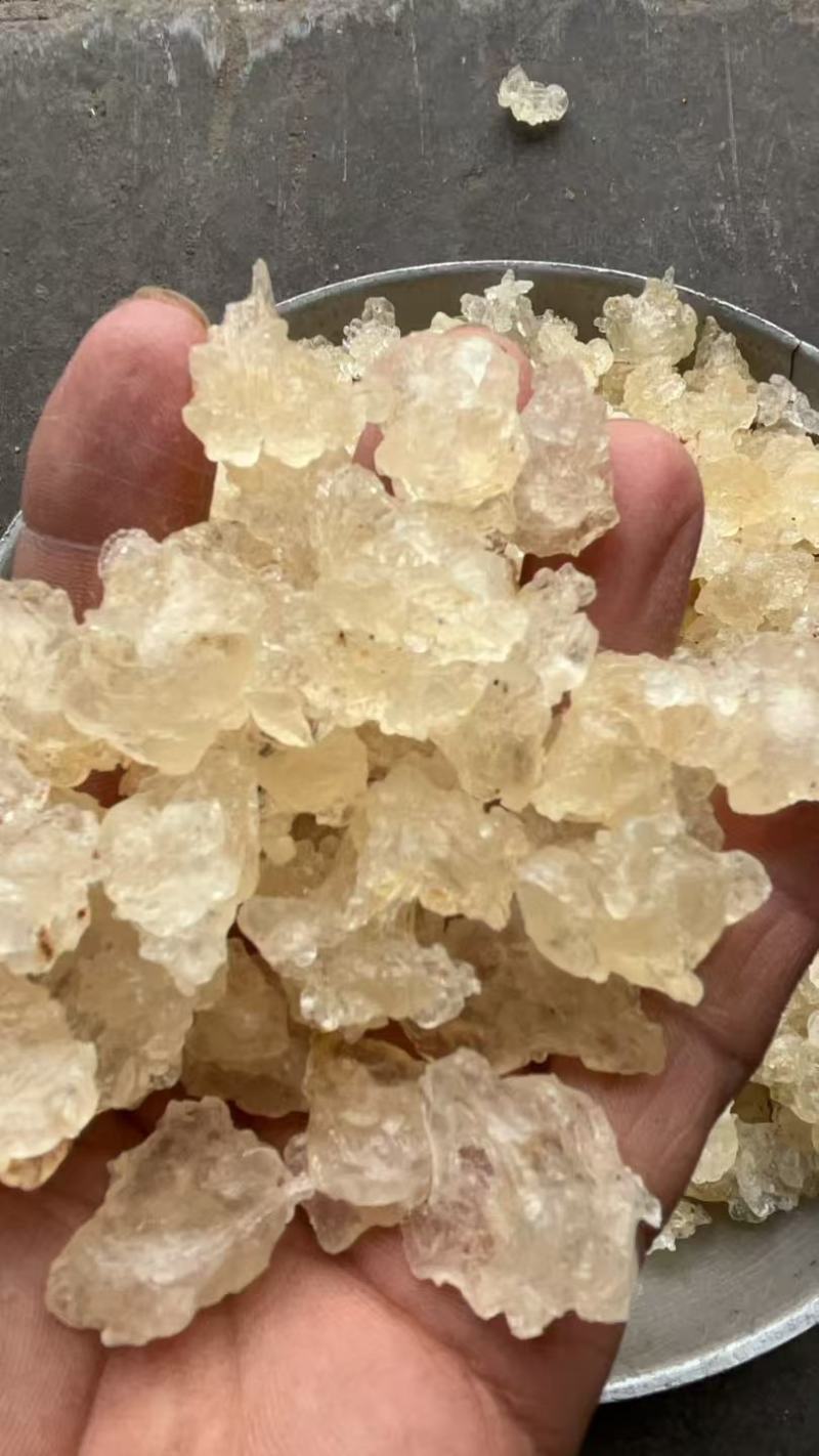 雪燕，拉丝雪燕，一手货源，各规格齐全，批发零售