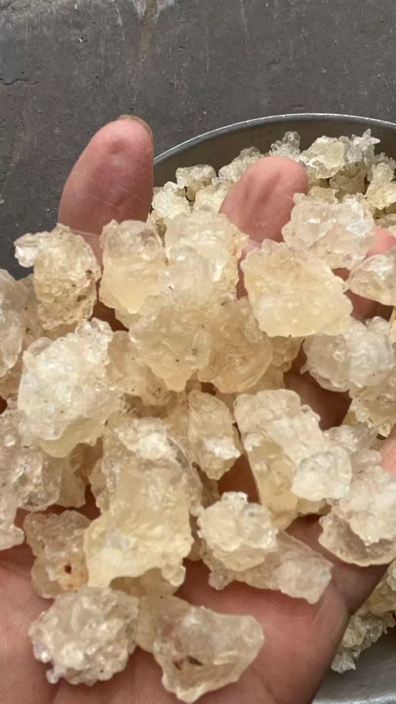 雪燕，拉丝雪燕，一手货源，各规格齐全，批发零售