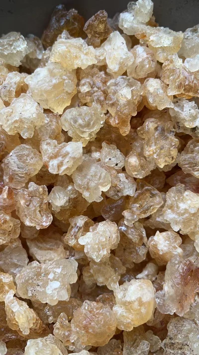 雪燕，拉丝雪燕，一手货源，各规格齐全，批发零售