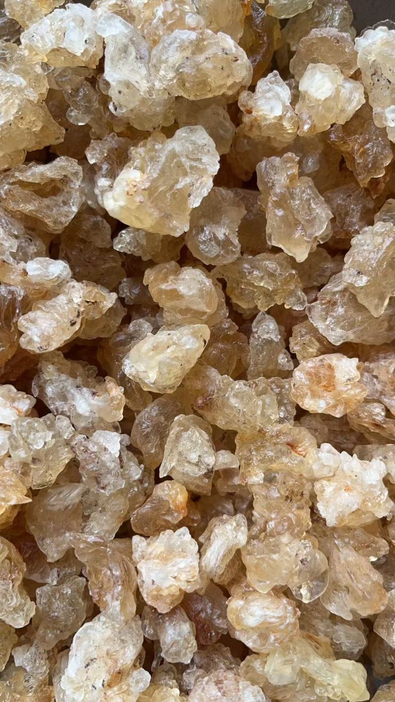 雪燕，拉丝雪燕，一手货源，各规格齐全，批发零售