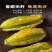 精品葡萄干绿葡萄干大量供应对接电商一件代发