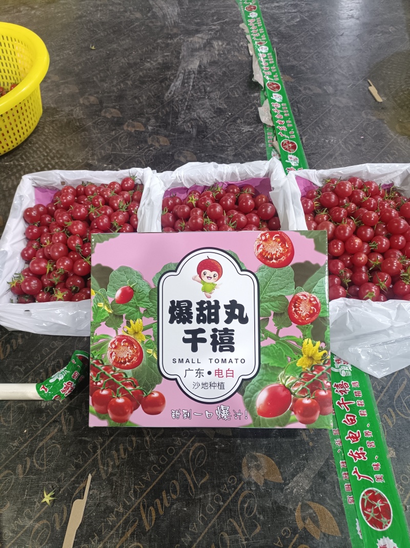 电白千禧大量上市了，欢迎各位商超，市场，渠道电商平台