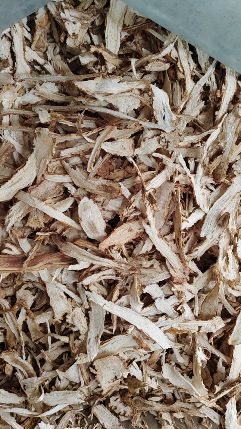 甘肃陇西。特产药材独活片