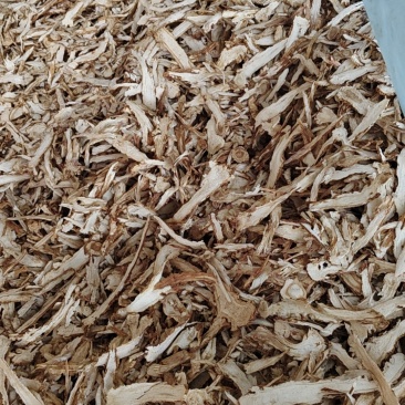 甘肃陇西。特产药材独活片