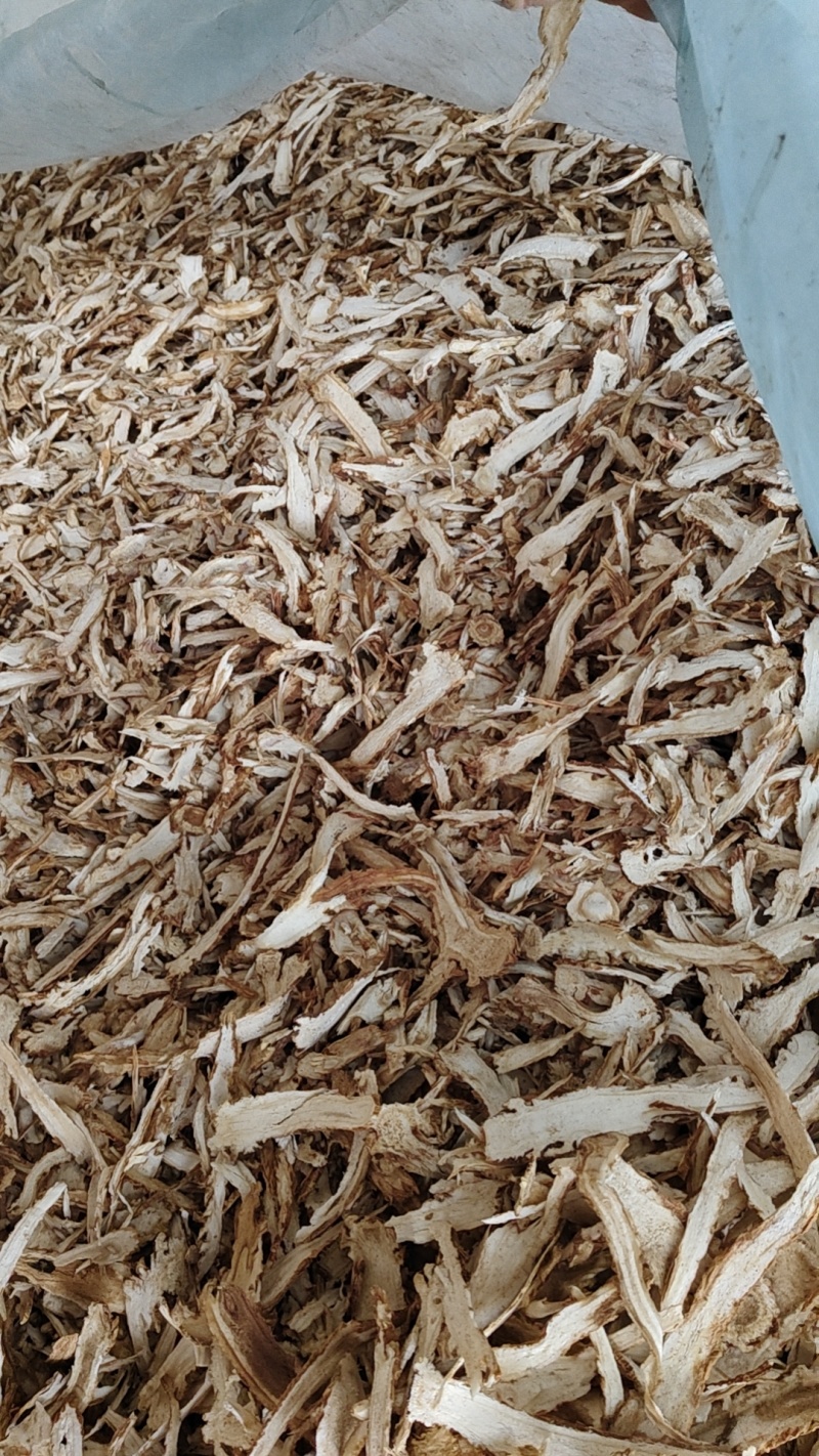 甘肃陇西。特产药材独活片