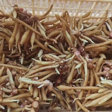 精品甲猜，产地直发价格实惠