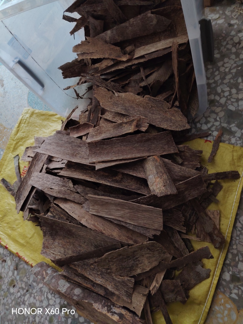 沉香树皮油