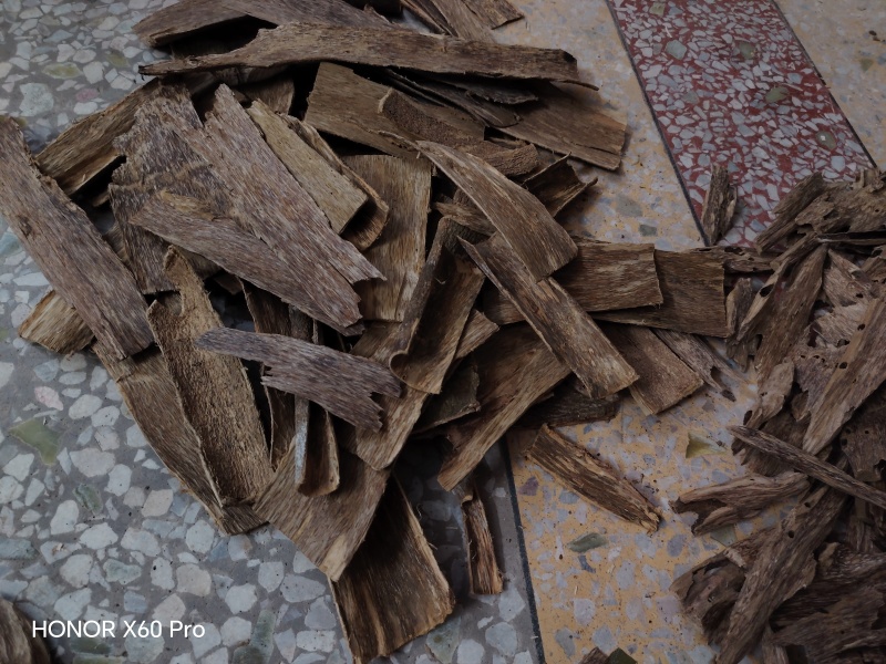 沉香树皮油